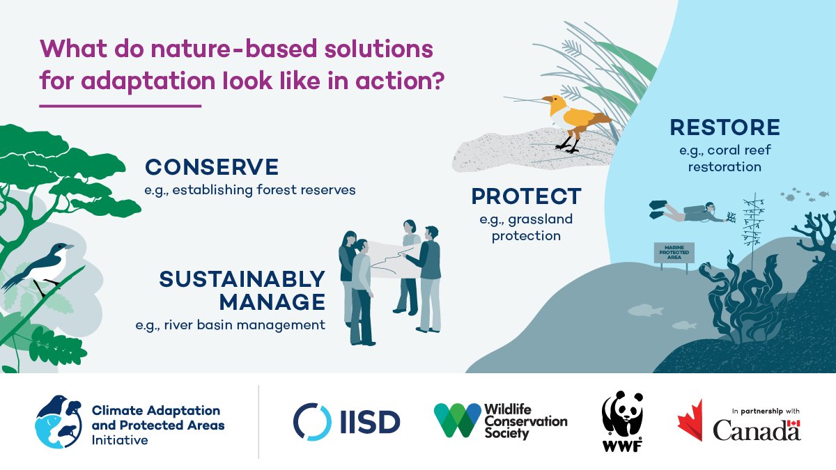 Nature-based Solutions Initiative Peru (@NBSPeru) / Posts / X
