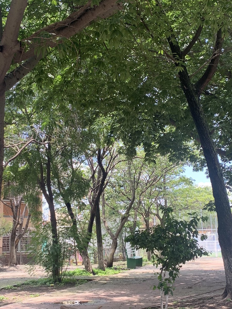 AgustinMorenoH's tweet photo. La vida es bella… a veces solo necesitamos salir a respirar aire fresco… https://t.co/TPC1QVVnbI