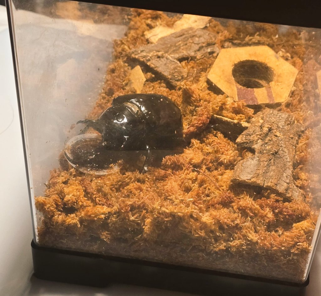 ❤️❤️❤️❤️❤️❤️