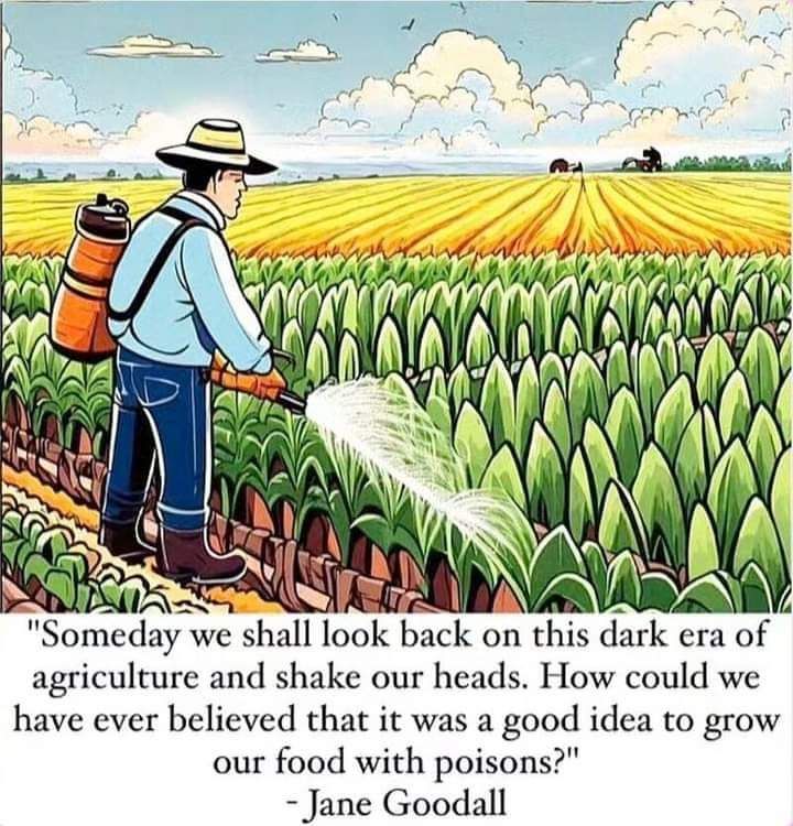 DavidWolfe's tweet photo. https://t.co/XisC2AI7ug