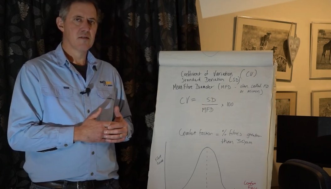 Fergenetics's tweet photo. I recorded a quick chat about SD, CV and comfort factor in wool as a quick refresher as we get into #merino ram promotion season in Australia. 
https://t.co/0YkRH291AA
 We will cover more wool traits at our free live event on the hub on Monday - link to that in the comments. https://t.co/6fs7udGXmC