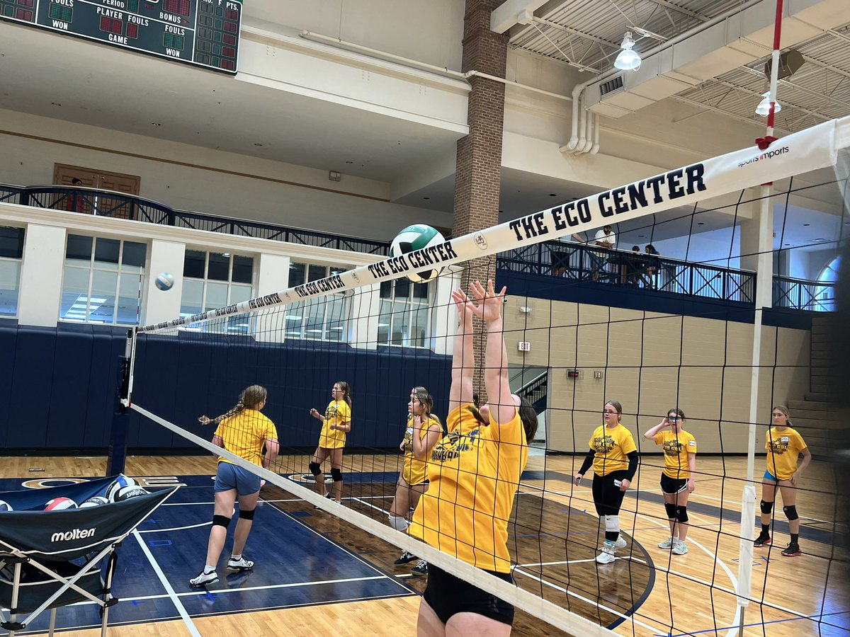 ClubGoldSouthVB tweet media