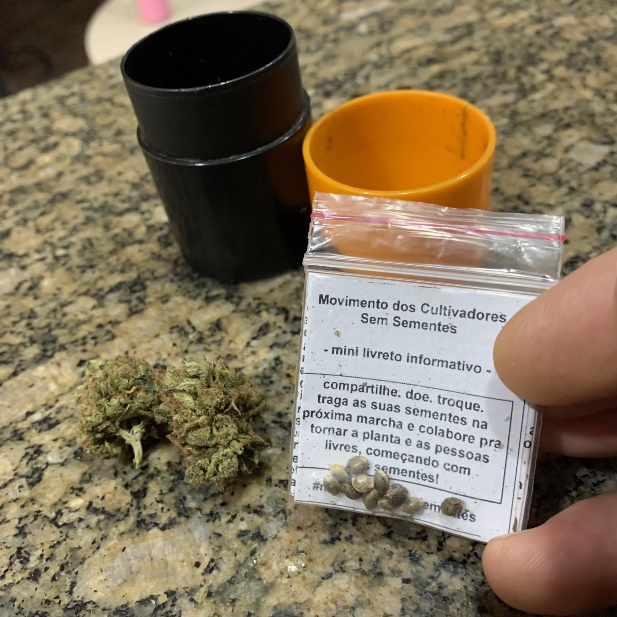 caiocezar420's tweet photo. PLANTANDO MACONHA DO COMEÇO AO FIM, O FIO! 🧶 🍁
Finalmente chegou o momento que vocês tanto esperavam, um fio que começa na germinação e termina na colheita, para que todos possam acompanhar os detalhes no mesmo post. Esse post ficará fixado e destacado no perfil 😘 + https://t.co/Agw3zdrHJH