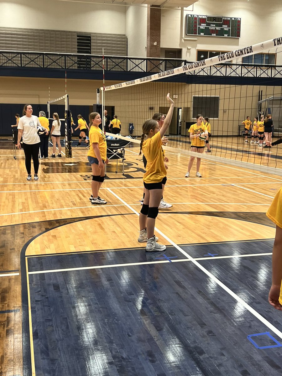 ClubGoldSouthVB tweet media