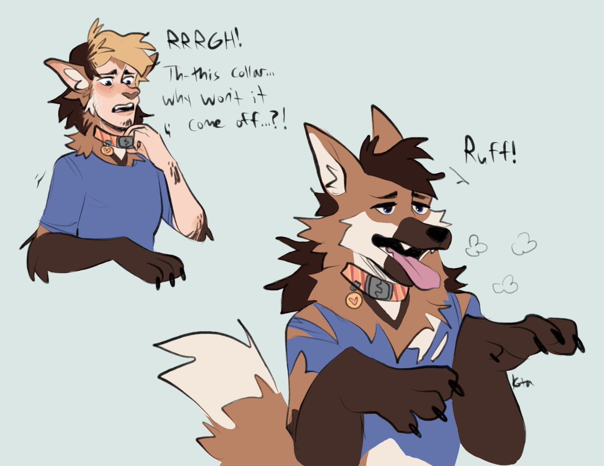 Kotacat4's tweet photo. Another “volunteer” for werewolf Wednesday >:3 https://t.co/Tsa4IHWvOv