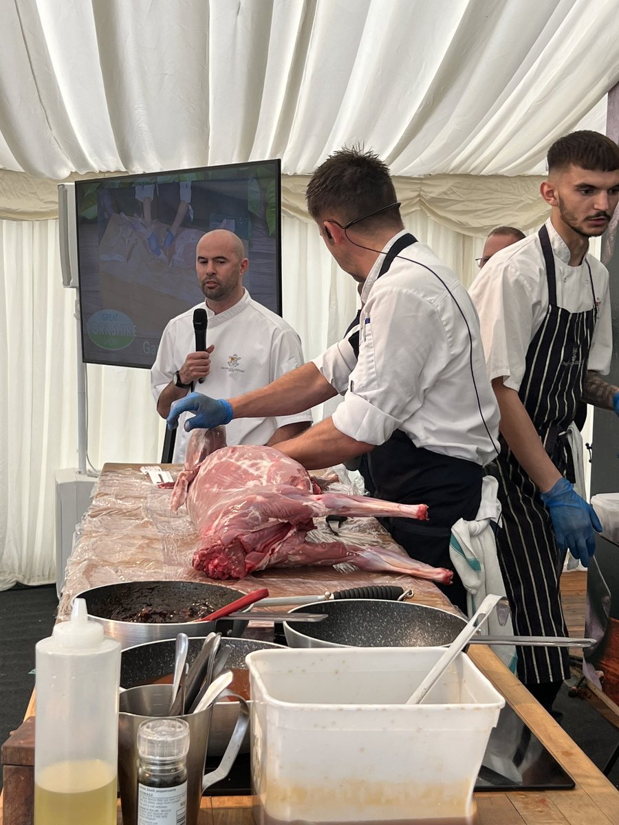 stephaniejmoon's tweet photo. Superb day two @greatyorkshow with #whaheedRojan @andrewpern @02jbrimm #inncollectiongroup @matthewbensonsmith and thank you Clare and David for all your help https://t.co/fgDkdRmrnn
