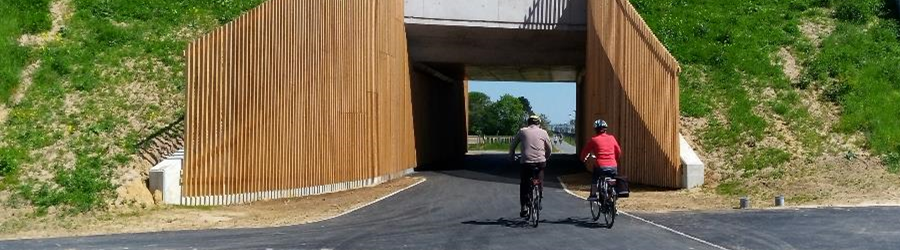 EdortaBergua's tweet image. 🇪🇺 Los fondos europeos prevén destinar 4.500 millones de euros a inversiones ciclistas, entre 2021 y 2027
#CohesionOpenData

cohesiondata.ec.europa.eu/stories/s/2021…