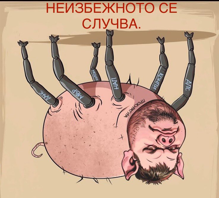 Vassil Bojkov tweet media