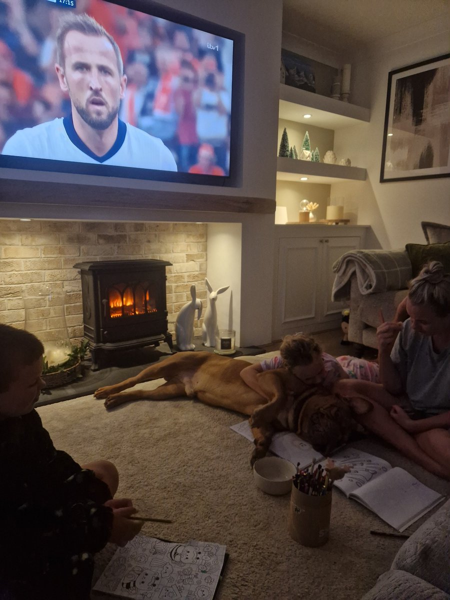 All too much for the dog!