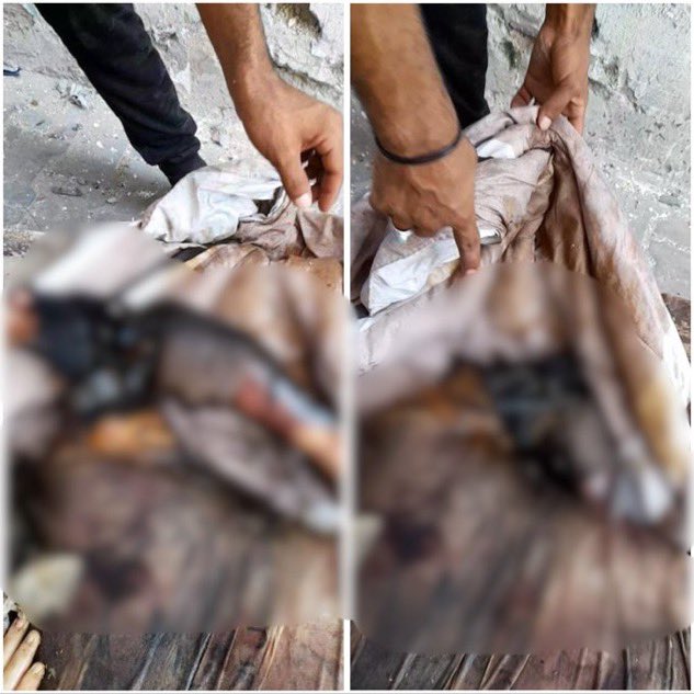 The Saviour (@stairwayto3dom) on Twitter photo 🚨🇮🇱 ISRAEL EXECUTED A CHILD WITH DOWN SYNDROME AND FED HIM TO DOGS!
WTF?!! 🤬
Source <a href="/SuppressedNws/">Suppressed News.</a> 🚨🇮🇱 ISRAEL EXECUTED A CHILD WITH DOWN SYNDROME AND FED HIM TO DOGS!
WTF?!! 🤬
Source <a href="/SuppressedNws/">Suppressed News.</a>