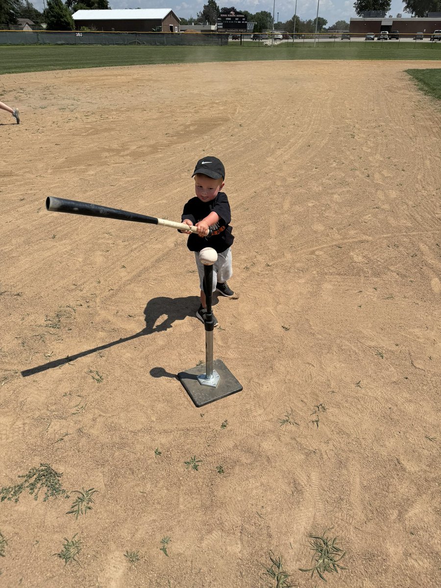 Winhawk Baseball tweet media
