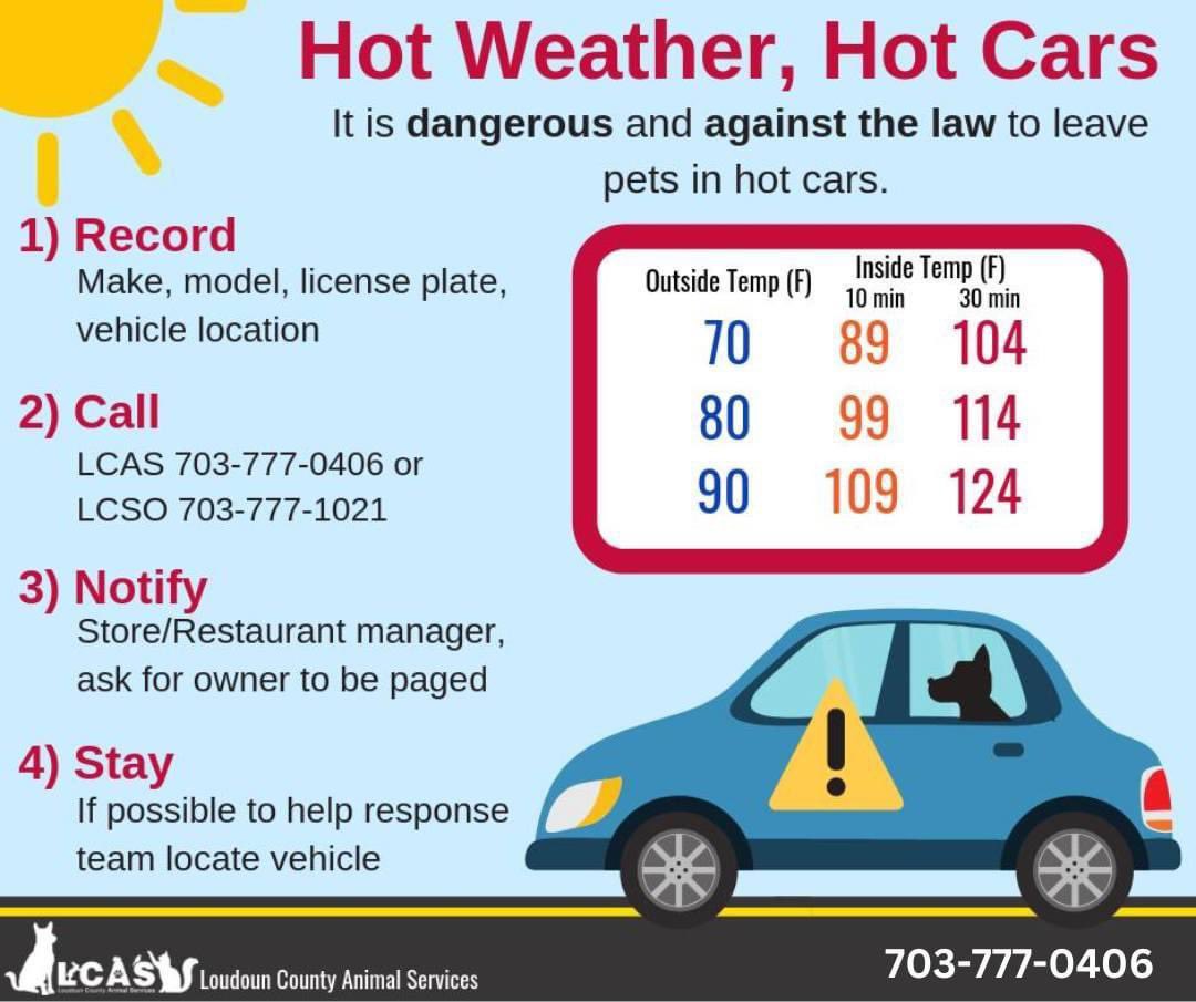 #Loudoun it is too hot for pets in cars! Please leave pets at home! If you see a pet left in a car, follow the steps below to help them stay safe!