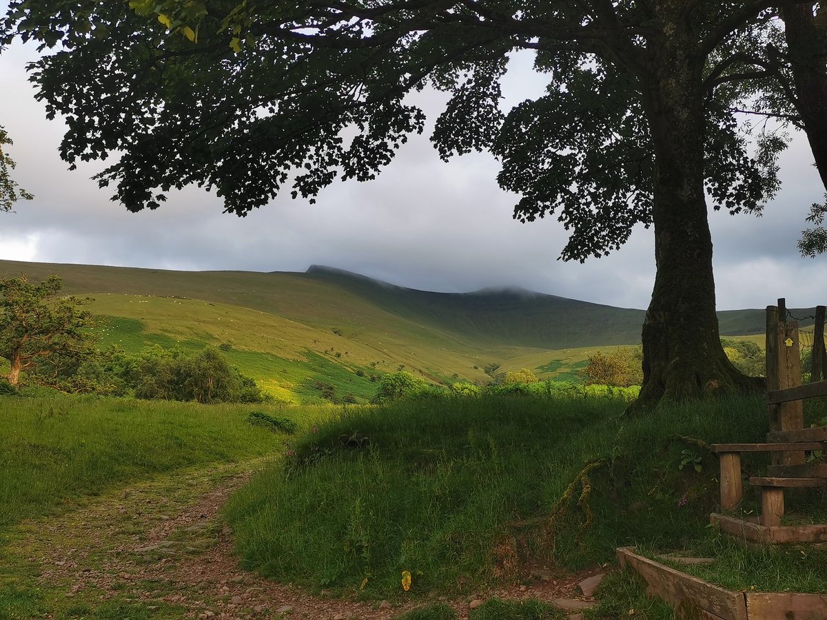 James Aldred tweet media