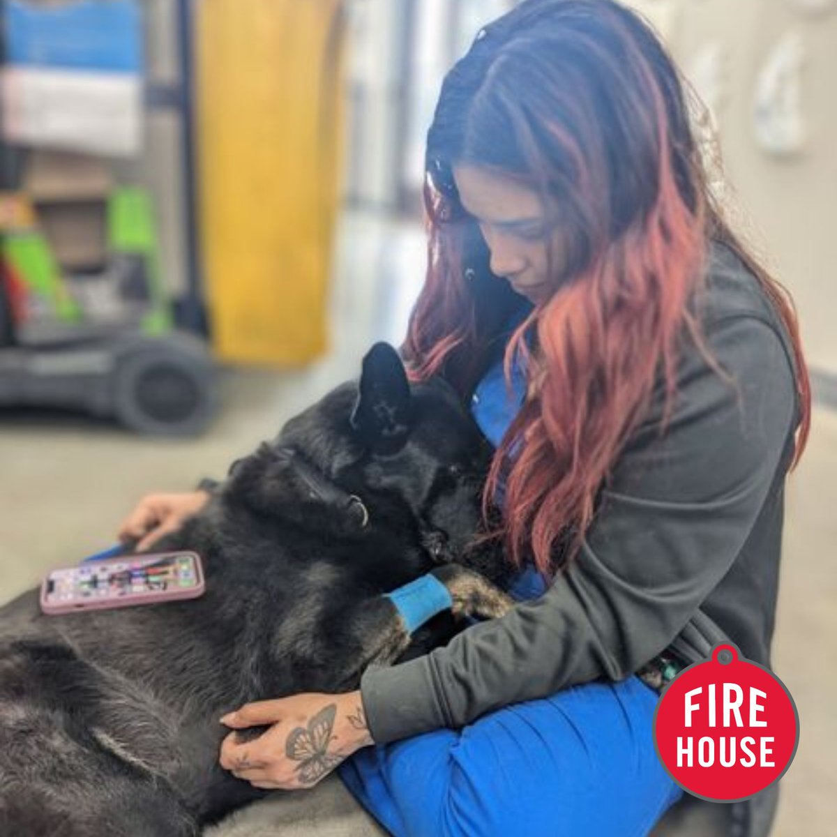 Firehouse Vet tweet media