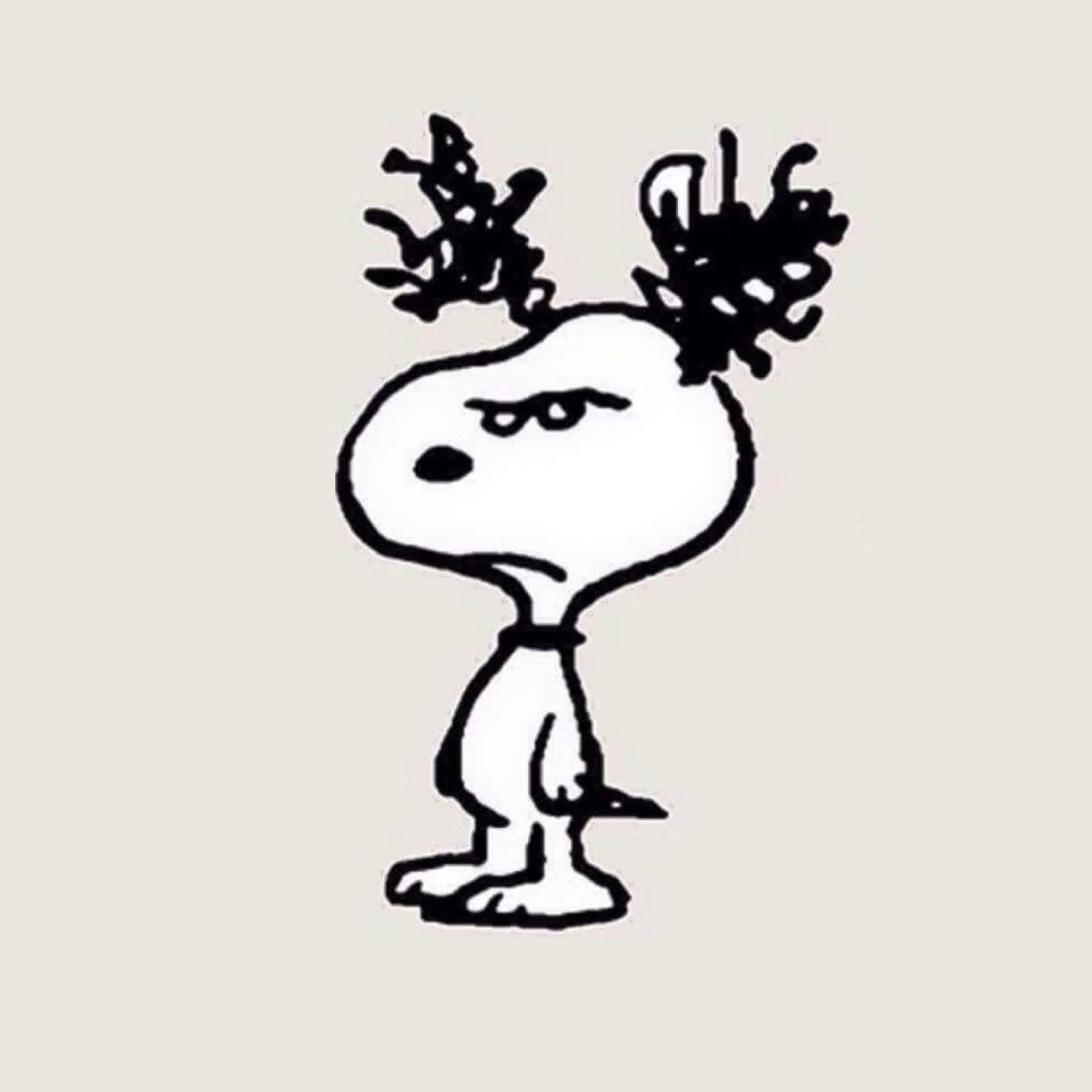 martinsnoops's tweet photo. https://t.co/9x8S7eo870