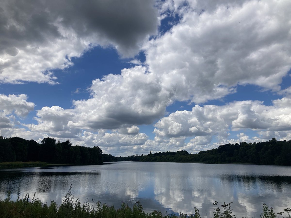 lm_orton's tweet photo. ⁦@NTClumberPark⁩ a lovely post-op walk in my favourite place #justwhatthedoctorordered ☺️ https://t.co/4RgLA7jGO9