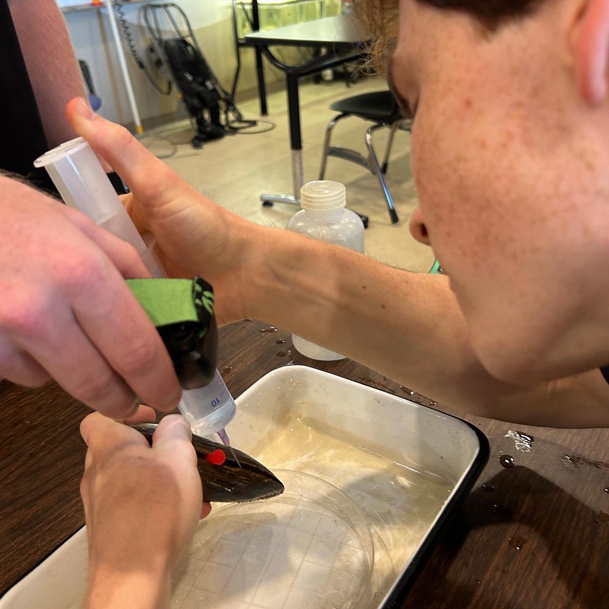 ThomasMore Field Station tweet media