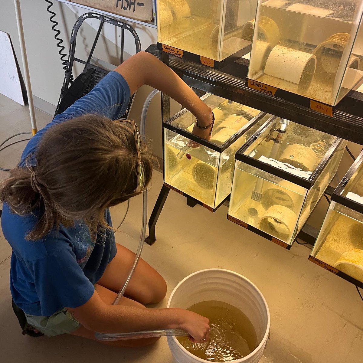 ThomasMore Field Station tweet media