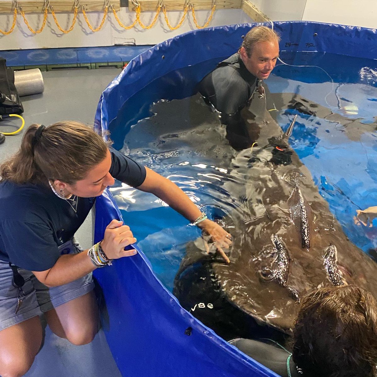 ThomasMore Field Station tweet media