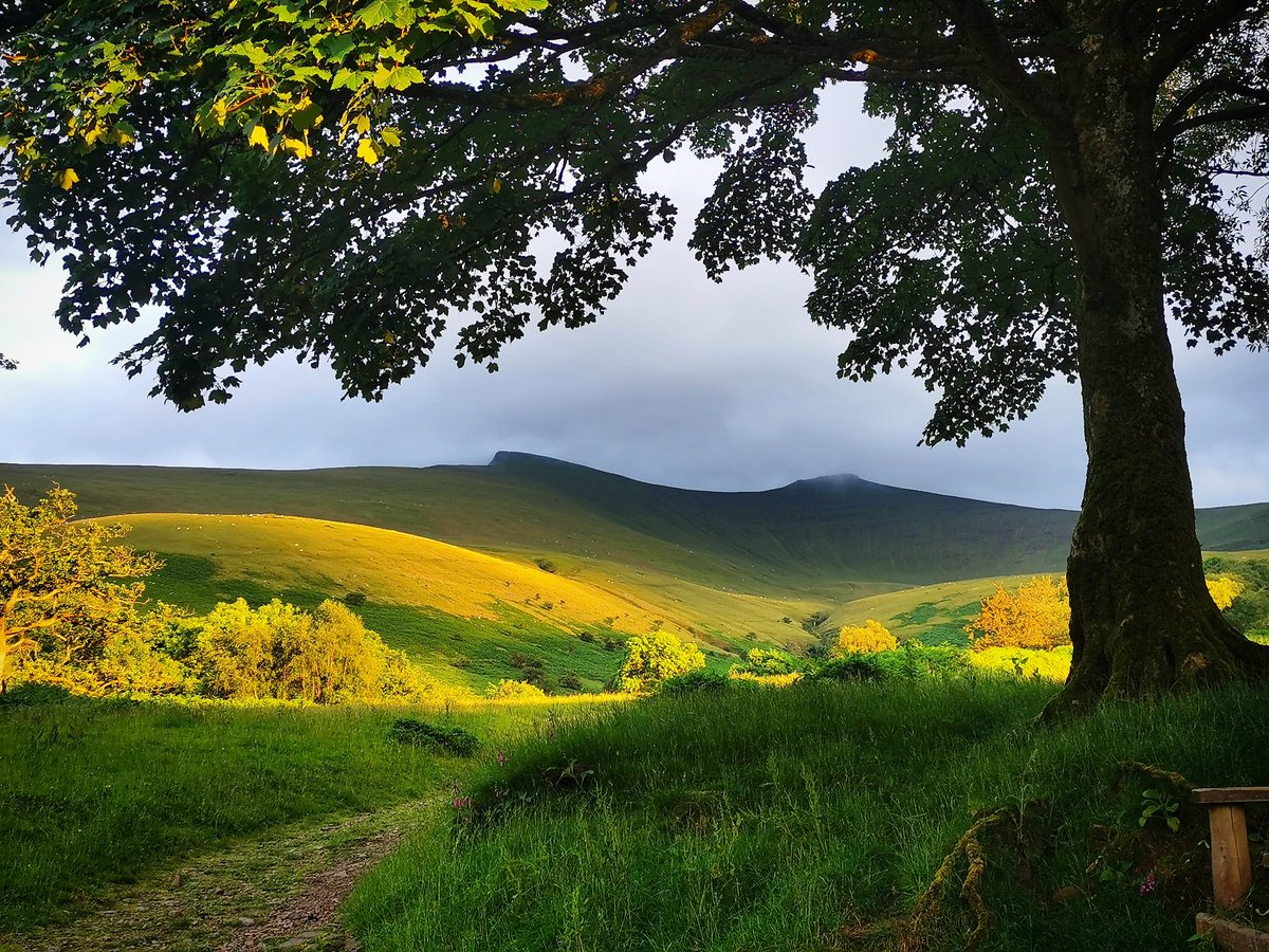 Sunset on the slopes of Pen y Fan.

#BreconBeacons