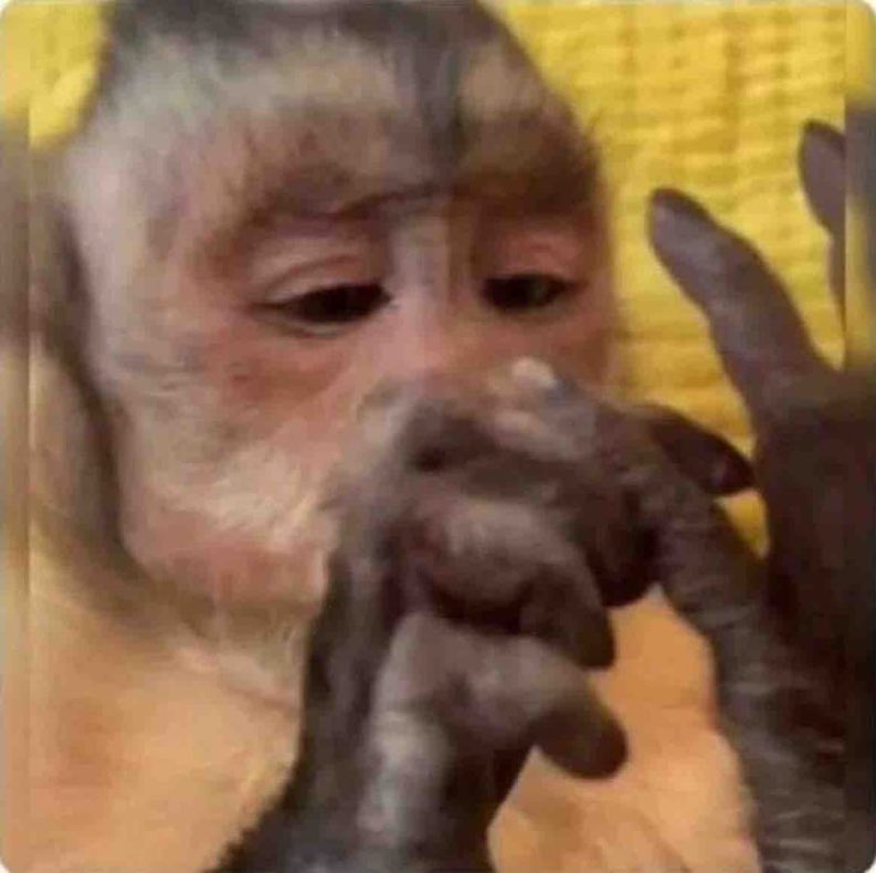 ipatheticc's tweet photo. Yo contando los días que faltan para que me paguen. https://t.co/u0xA0qgX9G