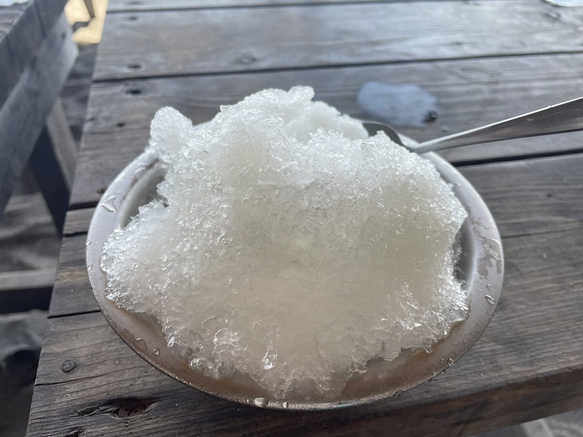 今週は月曜日から海で最強だった。この調子で行きたい