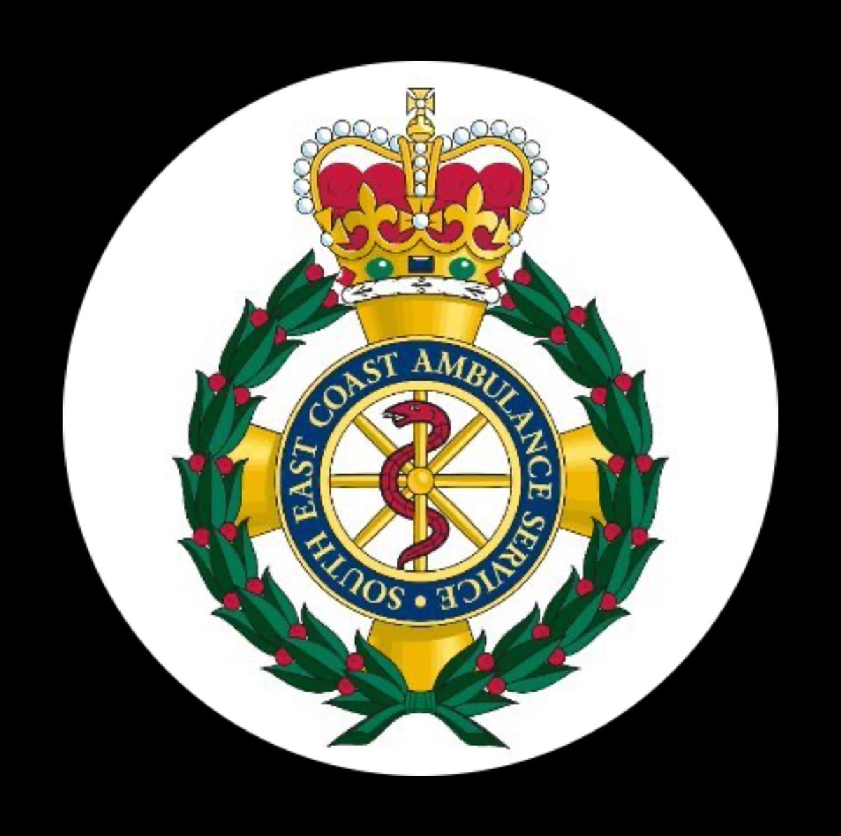 Suzanne Rastrick tweet media