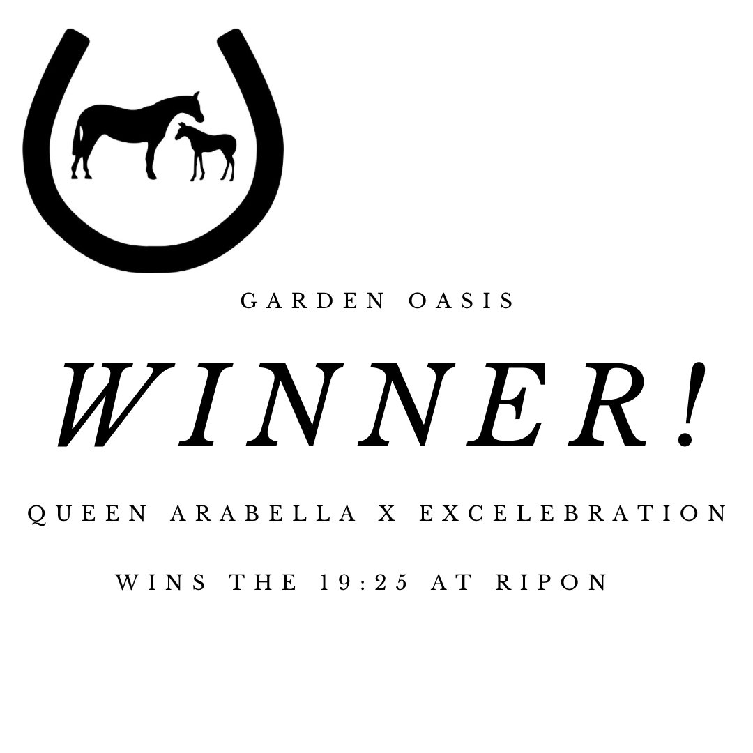 20th win of the 2024 season 🏆 

Congratulations to all connections, GARDEN OASIS (Queen Arabella x Excelebration) won the Bishopton Equine Handicap at ripon yesterday 
Owner: T A Scothern &amp; Partner
Trainer: Tim Easterby
Jockey: David Allan