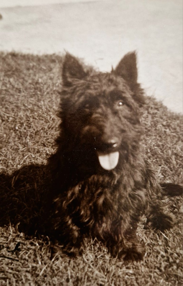 Lord Steerforth tweet media