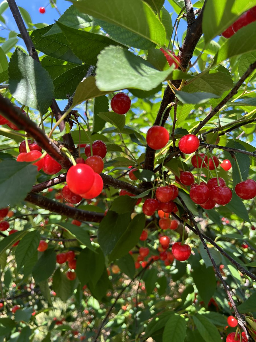 kerry nolan tweet media