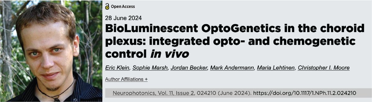 BiolumHub's tweet image. Congratulations @Eric_M_Klein and team @CarneyInstitute @LehtinenLab @andermann_mark! New pub in Neurophotonics @SPIEtweets!  🥳

doi.org/10.1117/1.NPh.…

#bioluminescence #optogenetics #BrownBrainScience