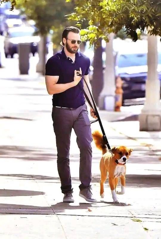 AlphaManUniv's tweet photo. Chris Evans and Dodger! 😍  #WholesomeWednesday #ChrisEvans #CaptainAmerica https://t.co/tTzjP2Wknp