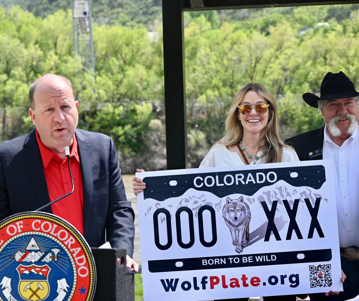 GovofCO's tweet photo. Yesterday, the Rocky Mountain Wolf Project announced that the 'Born to be Wild' plate had raised $312,800 in six months, a remarkable success. This is a beacon of hope for the future of wildlife protection and to help protect livestock.

https://t.co/UxeZlmfJ4o https://t.co/UEKpS7J4fL
