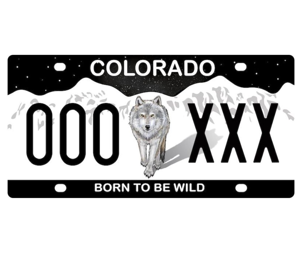 GovofCO's tweet photo. Yesterday, the Rocky Mountain Wolf Project announced that the 'Born to be Wild' plate had raised $312,800 in six months, a remarkable success. This is a beacon of hope for the future of wildlife protection and to help protect livestock.

https://t.co/UxeZlmfJ4o https://t.co/UEKpS7J4fL