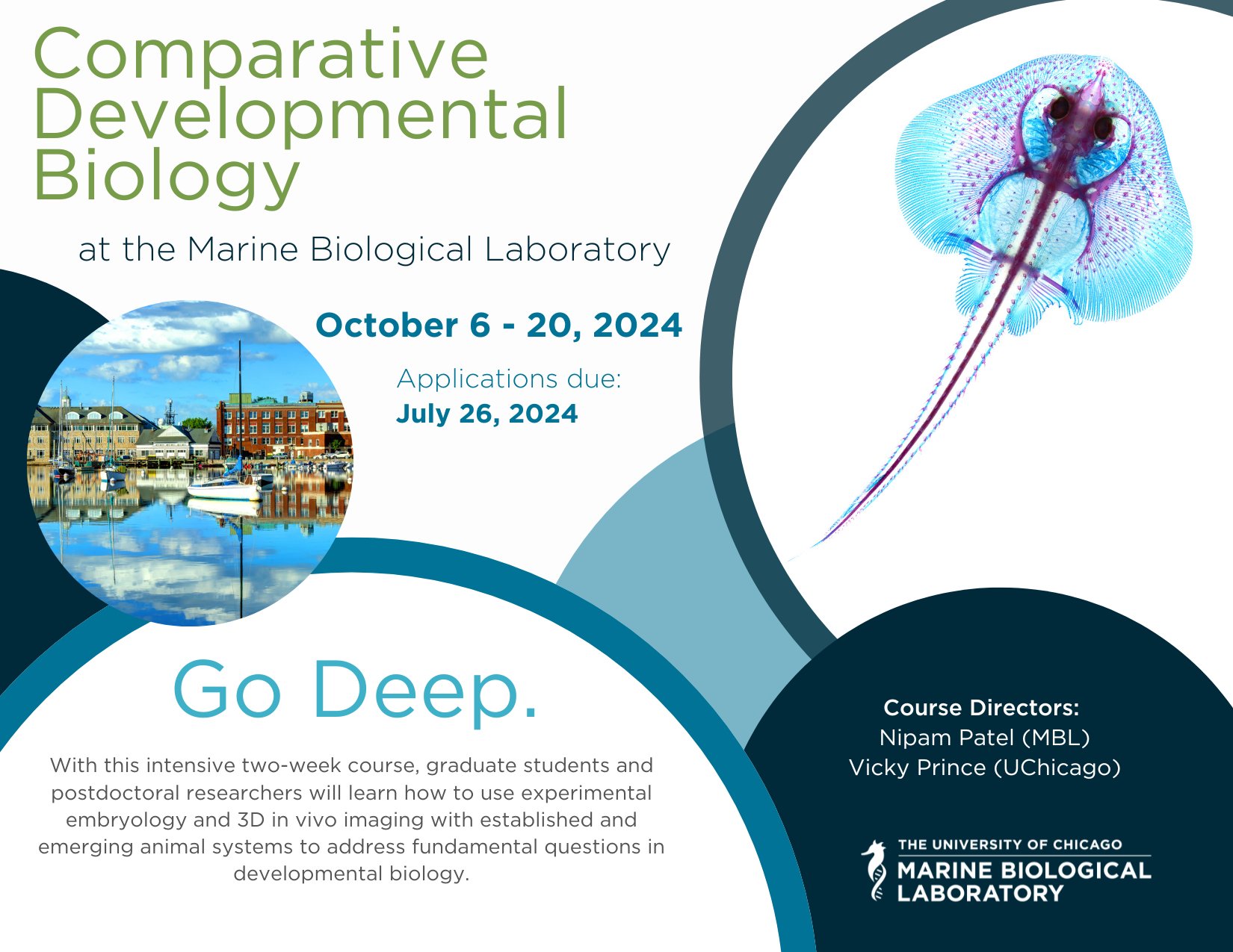 Marine Biological Laboratory (MBL) on X: &ldquo;Are you a #gradstudent 