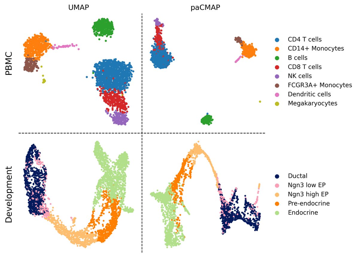 Saw a few dim reduction posts today about how paCMAP preserves global and local structure better than UMAP. I wanted to show some quick examples of how to run it on your SC data... (1/3)
