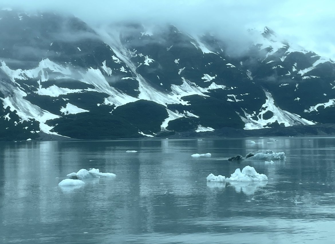 Monica Todaro tweet media