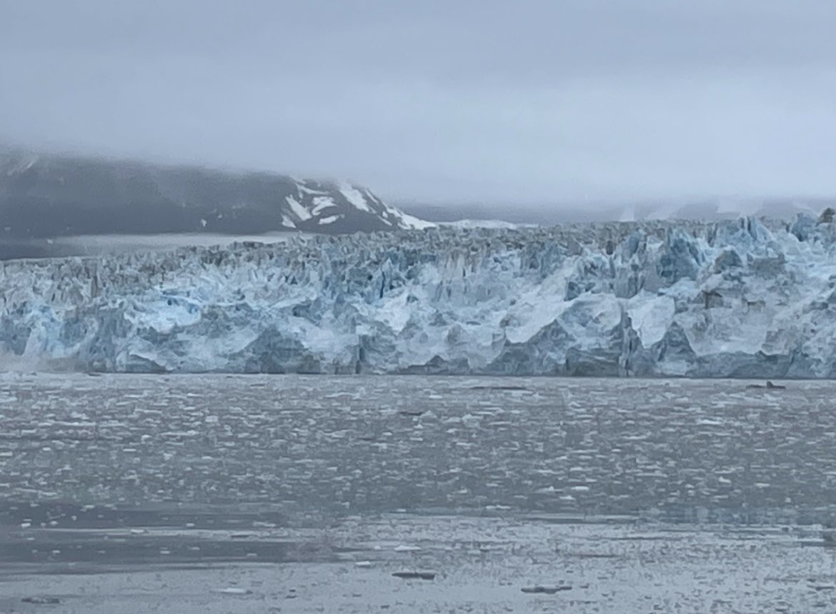 Monica Todaro tweet media