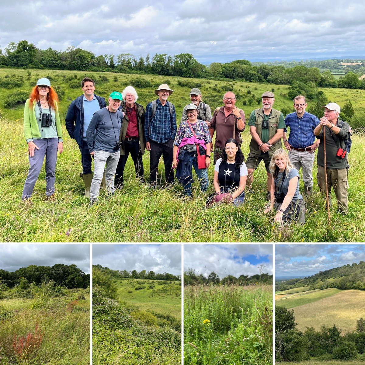 WealdtoWaves's tweet photo. We’ve been checking out scrubland nectar sources at key sites in the corridor with species recovery partners @kneppwildlandfdn @officialzsl @ambios_ltd @steyningdscheme @wistonestate. After decades of scrub clearance we are finally waking up to its immense value for biodiversity. https://t.co/5QXrpYSxDH