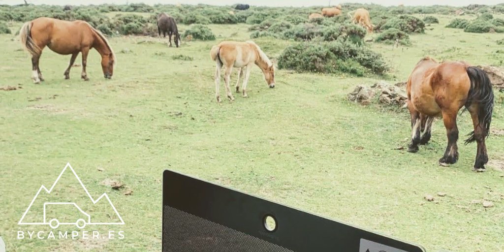 Comiendo con los caballos 😃 🐎

👉 Más info en: i.mtr.cool/nhgqorngat

#camper #segundamano #rentalcamper #naturaleza