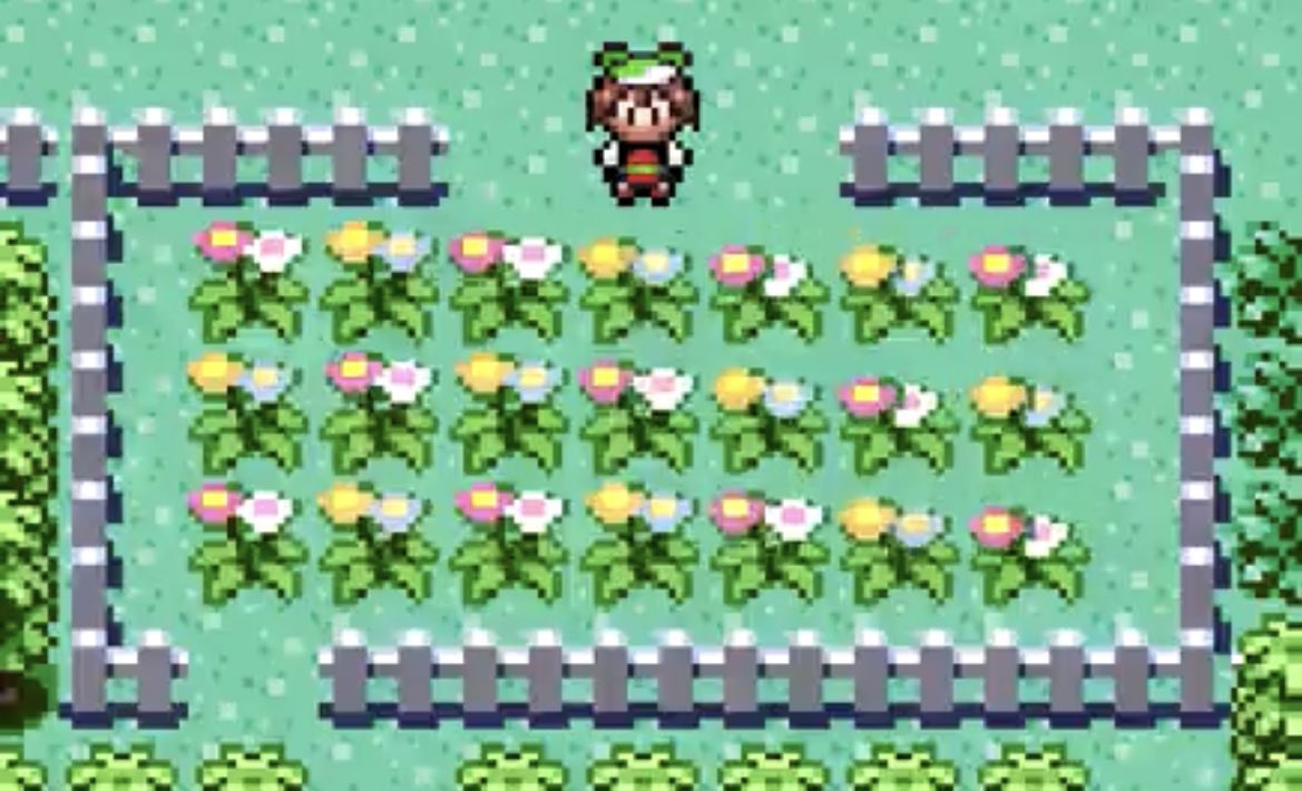 Sinnoh🌙 tweet media