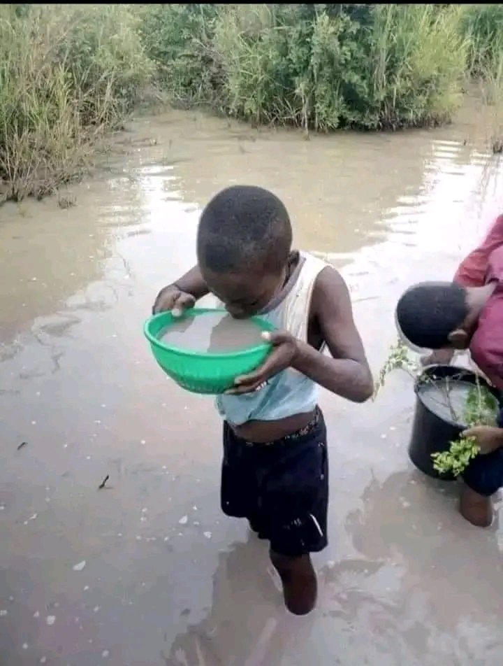 JkTshibanda's tweet photo. Chaque fois que tu veux voler l'argent du pays, pense à ces enfants qui n'ont que cette eau à boire. 🇨🇩 https://t.co/UJSCIHY6Cf