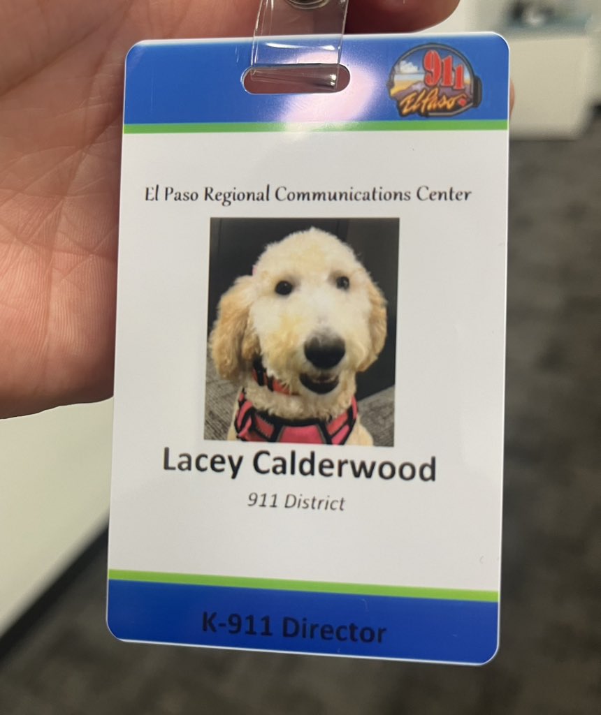 EP911District's tweet photo. Say hello to our newest member of the District, Lacey! She will be running around in circles with her new position as K-911 Director. 🦴 She is definitely up for the challenge and ready to get her paws dirty! 🐾 https://t.co/nDs3aQYzzy