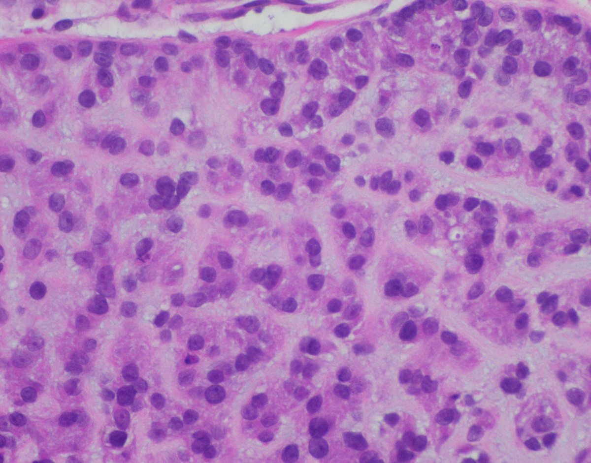 MonicaGarciaBuitrago tweet media