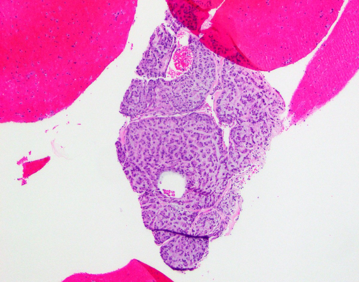 MonicaGarciaBuitrago tweet media