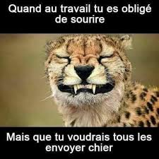 Pr. Claude-Marie LAURENT 🇫🇷✝️ tweet media