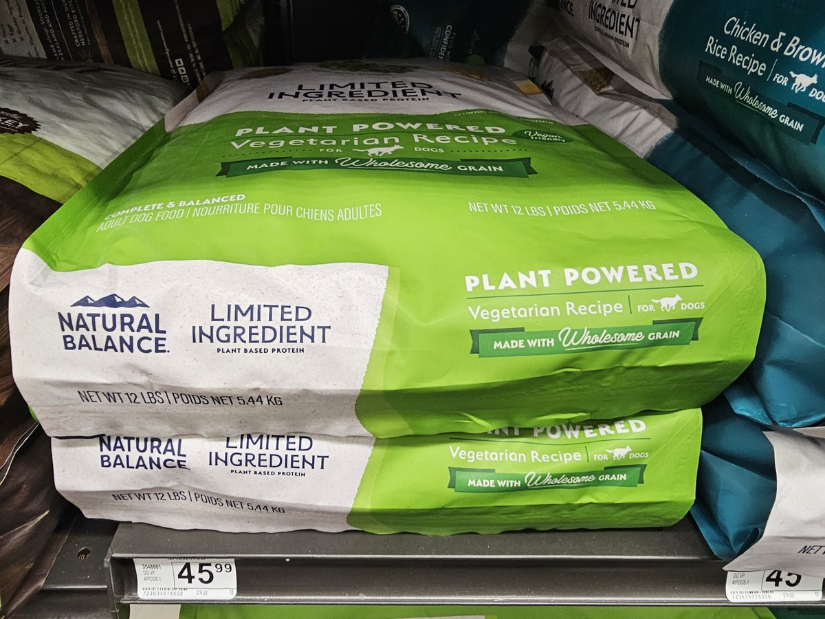 BeaverFren ✝️🇺🇲 tweet media