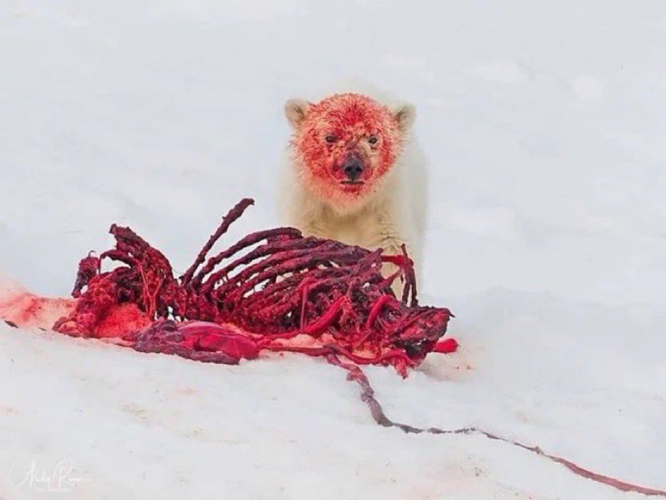 Shellerina_'s tweet photo. Me when you cannot save people you can only love them https://t.co/ovWbJ6TzCh