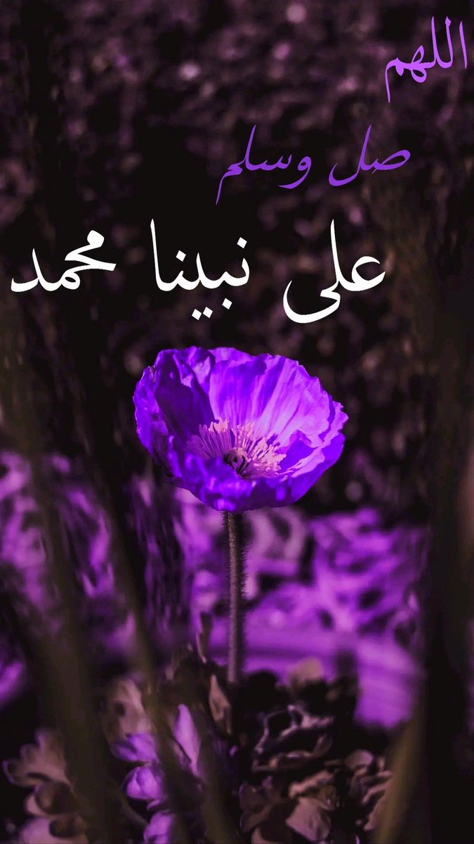 أذكر الله يذكرك (@zhikrallah) on Twitter photo 