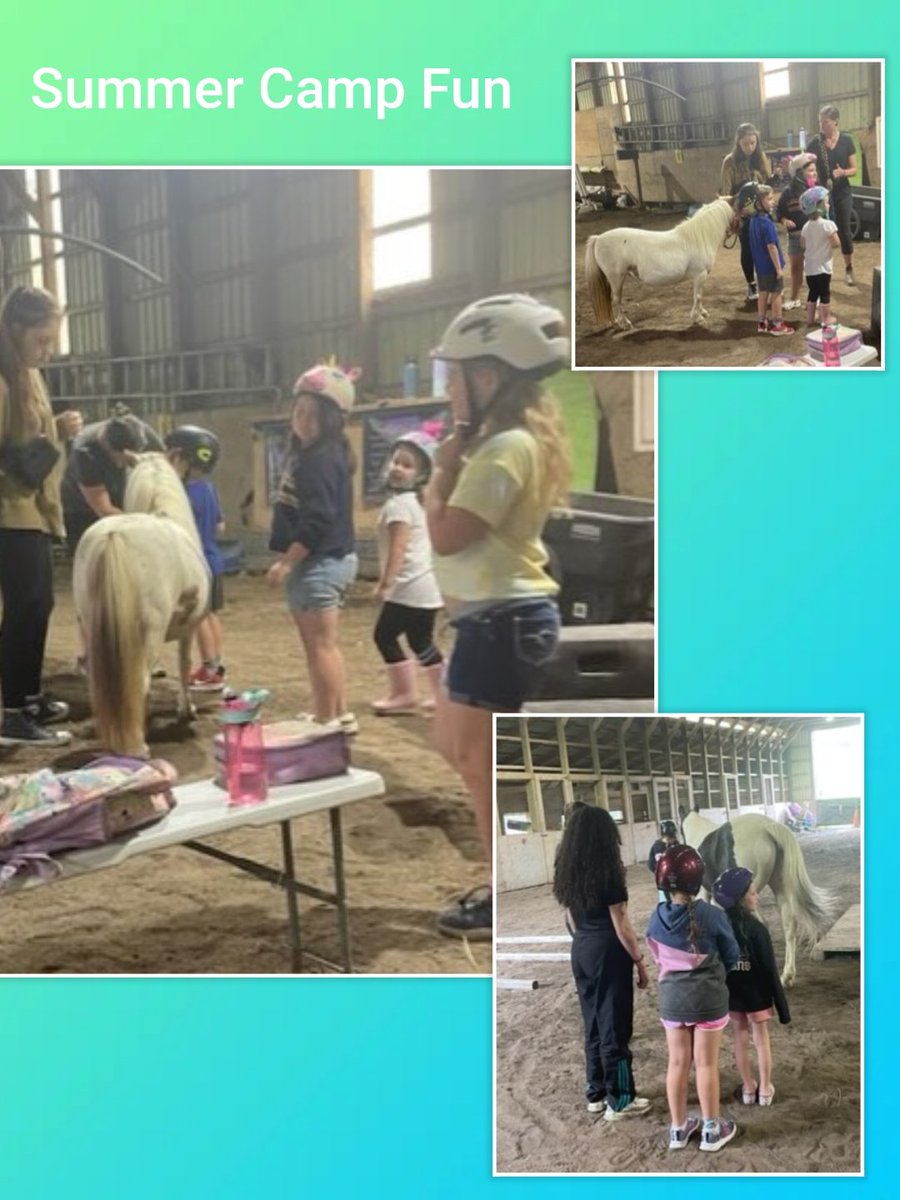 A great day at the BHNCDSB Wellness Camp.  Campers enjoying  time with some new four-legged friends.